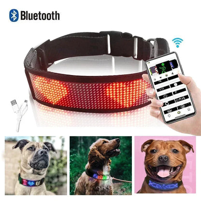 the NIGHTSYNC LED SAFETY COLLAR - LED Pet Collar, App Bluetooth Adjustable Luminous Waterproof Light Up Safety Dog Accessories Collar, Programmable USB Rechargeable