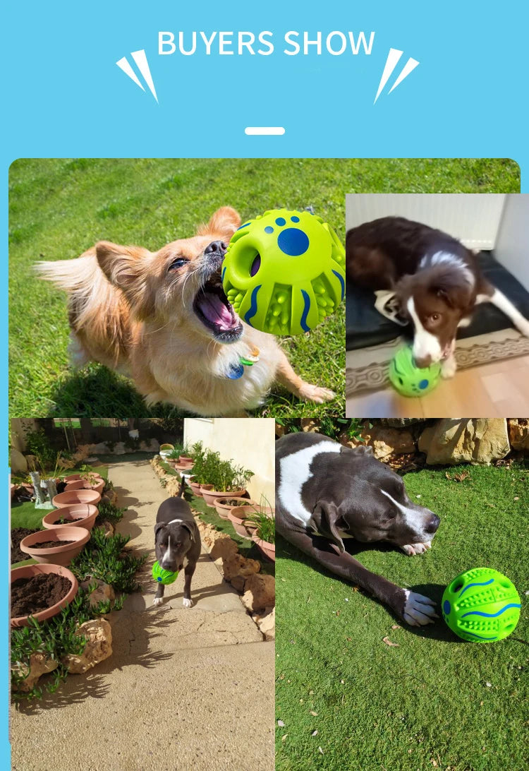 Pet toy dog self-healing toy dog giggling sound ball chewing pet ball rolling molars relieve boredom interactive toys for dogs