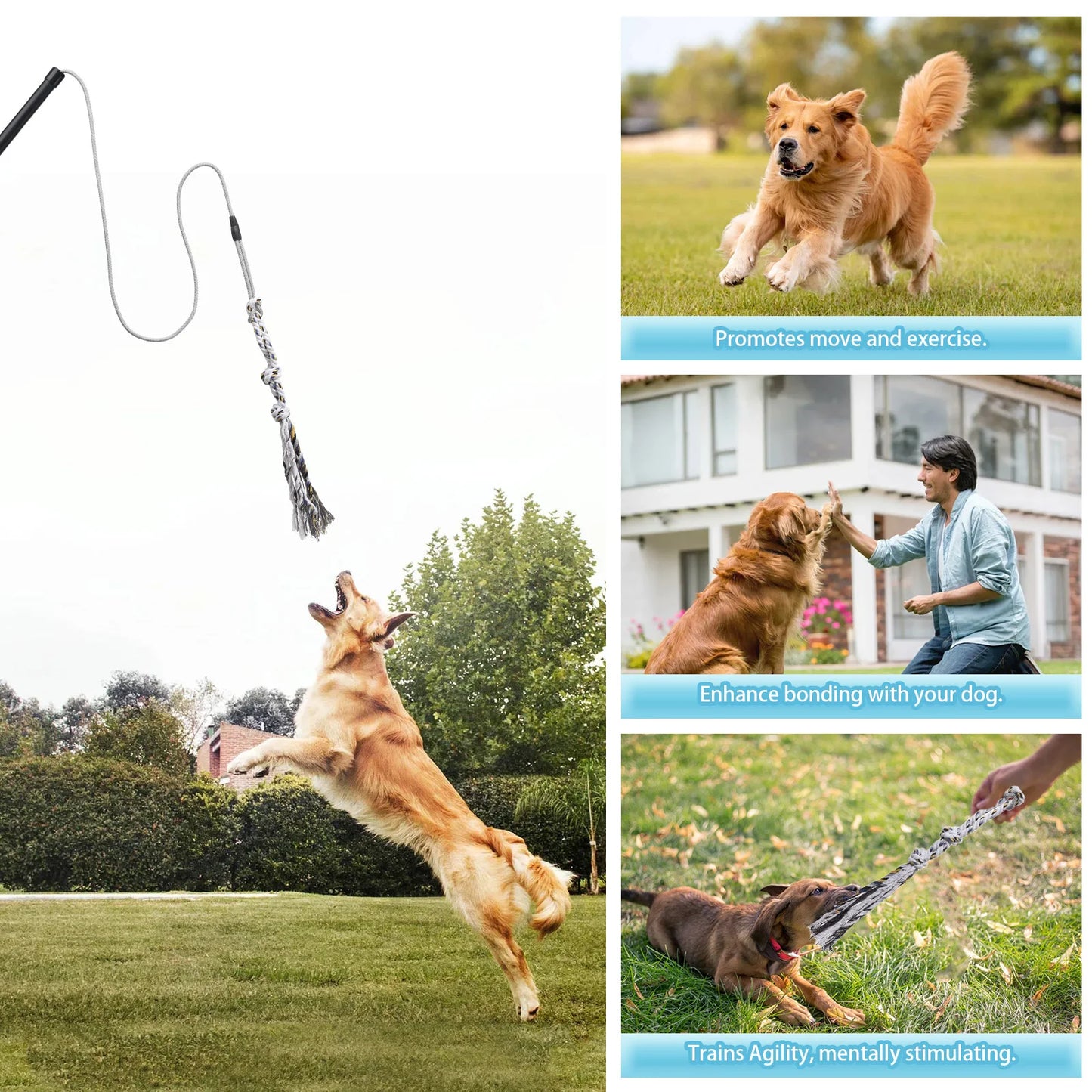 Flirt Pole for Dogs Interactive Dog Toys Durable Heavy Duty Dog Flirt Pole Suitable for Small and Medium Dogs Great Exercise