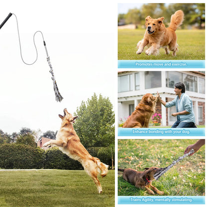 Flirt Pole for Dogs Interactive Dog Toys Durable Heavy Duty Dog Flirt Pole Suitable for Small and Medium Dogs Great Exercise