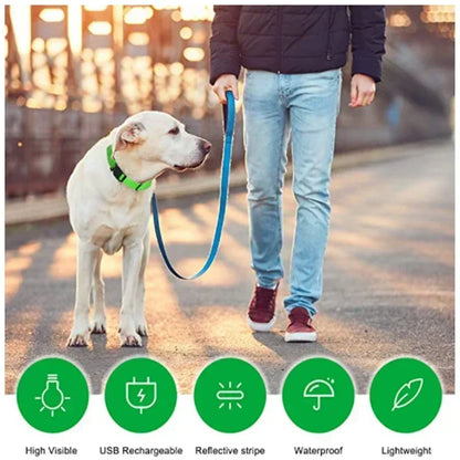 the LUMAGLOW ANTI-LOST COLLAR - LED Glowing Dog Collar, Adjustable Flashing Rechargeable Luminous Collar, Night Anti-Lost Dog Light Harness for Small Dog, Pet Products