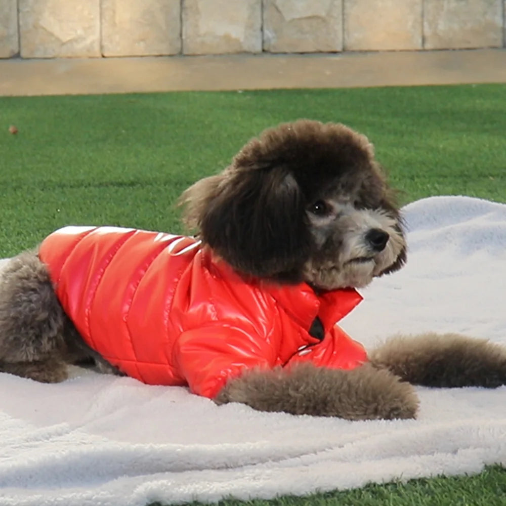 Winter Dog Down Jackets Clothes Thick Warm Puppy Dog Costume Coat Leather Pet Clothes Windproof for Small Medium Dogs Chihuahua