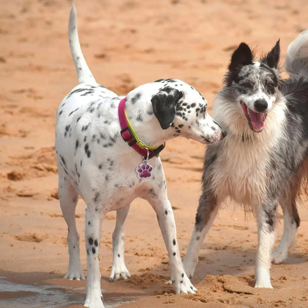 Cat Dog Paw Print Dog Cat Tags Personalized Anti-Lost Pet Glitter Pendant Exquisite with Hook Pet Collar Tag Pendant Kitten