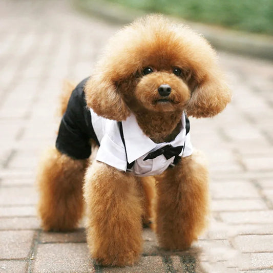 RoyalPaws Party Tuxedo™ Formal Dog Outfit | Dog Paw Clothing™