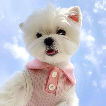 Summer Pet Dog Polo Shirt Breathable Dog Clothes Fashion Puppy Vest Cute Solid Cat Shirt Soft Pet Costumes Chihuahua Dog Clothes