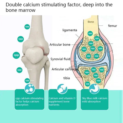Pet Chondroitin large bone calcium Tablets 180 tablets joint Shu nutritional supplements for dogs daily health care