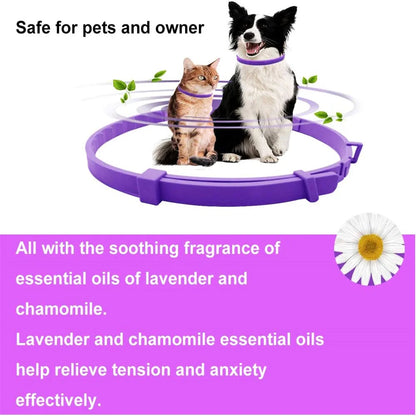 the TRANQUILTAIL CALMING COLLAR - Pet Calming Collar for Cats/Dogs, Adjustable Anxiety Pheromone Reducing Pet Collar, Lasting Natural Calm Relax Soothing Collars