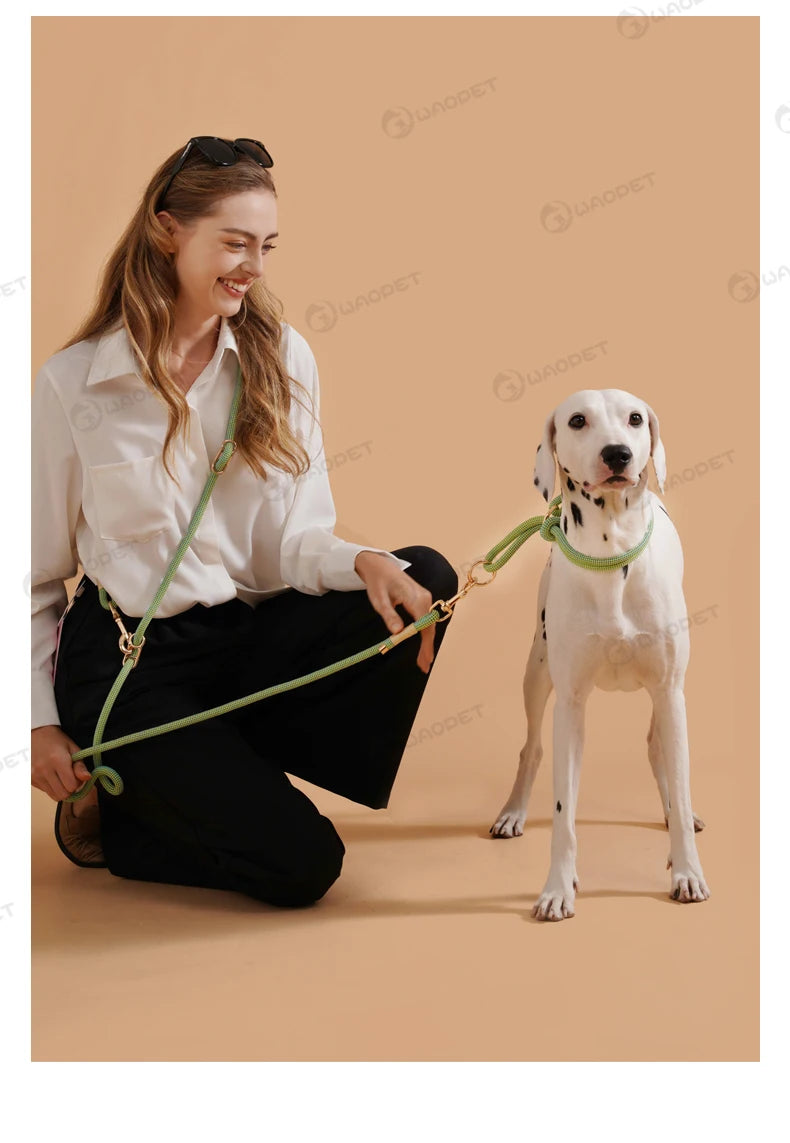 the SIMPLESTRIDE DOG COLLAR - Pet Dog Lead Rope Simple Trendy Style Collar, Leashes for Small/Medium and Large Dogs, Bulldog, Alaskan Malamute, Corgi, Teddy Dog