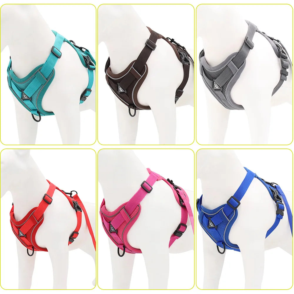 the PAWCOUTURE HARNESS - Harness and Leash Set, Pet Accessories, Dog Harness for Small Dog, French Bulldog, Pug, Pitbull Puppy Pectoral Collar, Dog Supplies