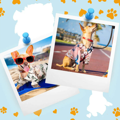 Hawaii Dog Shirt Colorful Flower Printed T-Shirt Breathable Cool Shirt Summer Beach Style Dog Clothes Medium and Large Dog Boys