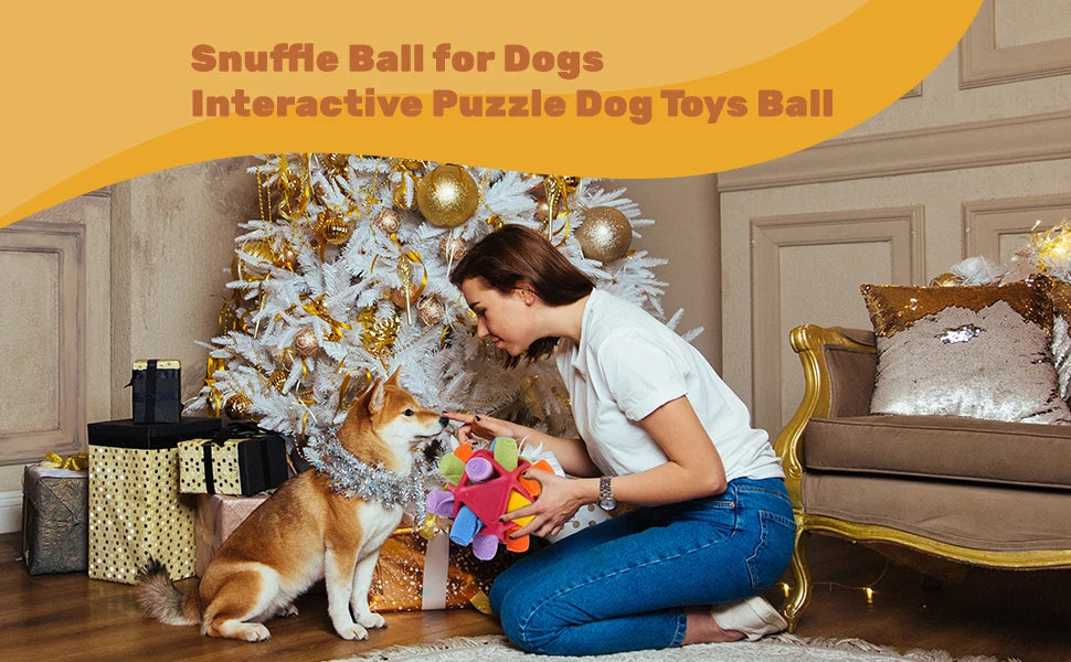 Dog Sniffing Ball Innovative Pet Shaking Training Toys for Pet Training Tooth Cleaning Puppy Chew Relieve Boredom Dog Toy