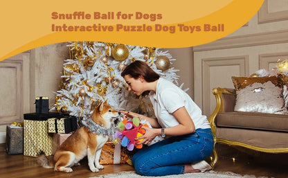 Dog Sniffing Ball Innovative Pet Shaking Training Toys for Pet Training Tooth Cleaning Puppy Chew Relieve Boredom Dog Toy
