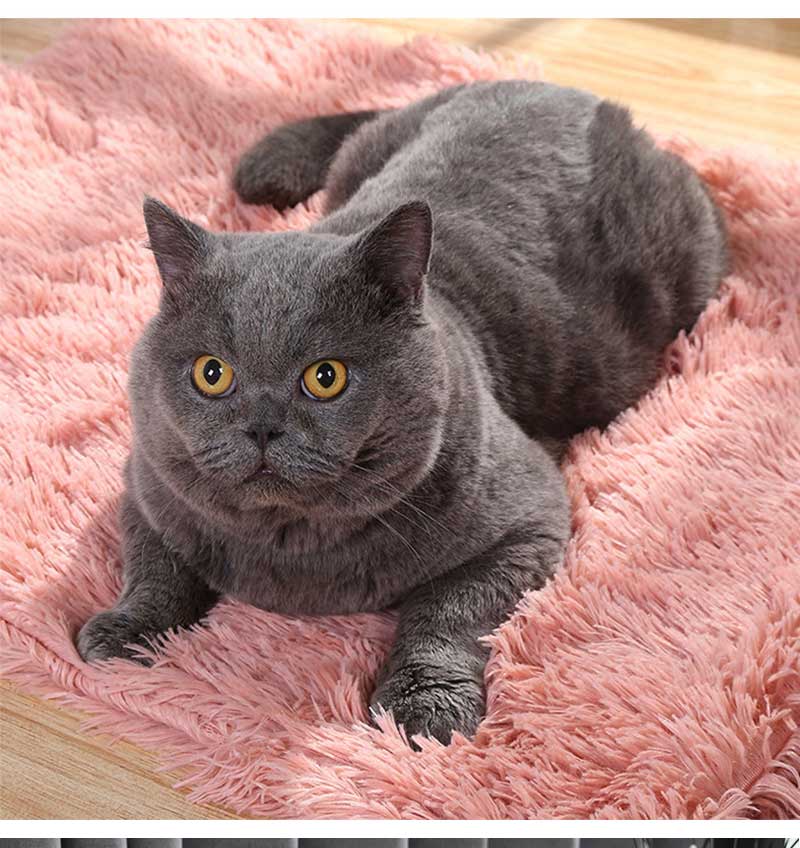 Plush Dog Blanket Winter Warm Pet Sheet Cat Dog Sofa Cushion Pet Mattress Household Carpet Comfortable Dog Sleeping Blanket