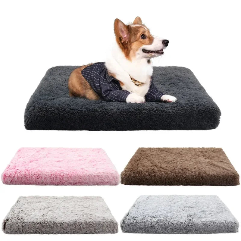 Soft Plush Dog Bed Cat Beds for Small Medium Large Dogs Removable for Cleaning Puppy Cushion Claming Dog Bed Dog Winter Supplies