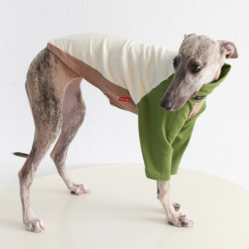 8colors Italian Greyhound Hound Two-Legged Clothes Fashionable Multicolor Soft Comfortable Elastic Fashion Patchwork Dog Clothes