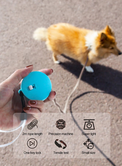 the FREESTRIDE RETRACTABLE LEASH - Retractable 2M Dog Leash, Automatic Freely Dog/Puppy/Cat Traction Rope, Belt Dog Leash