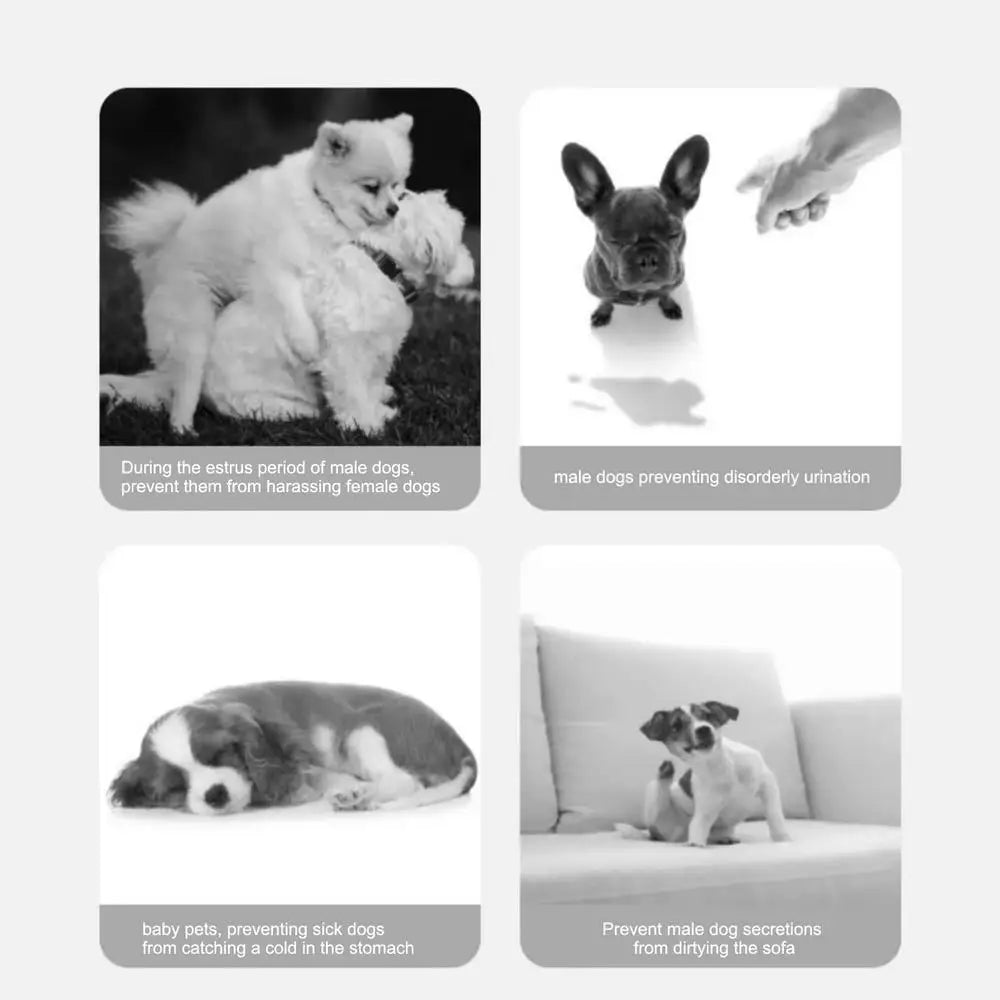 Adjustable Pet Physiological Pants Breathable Washable Diapers Dog Shorts Sanitary Panties for Small Medium Large Dogs Female