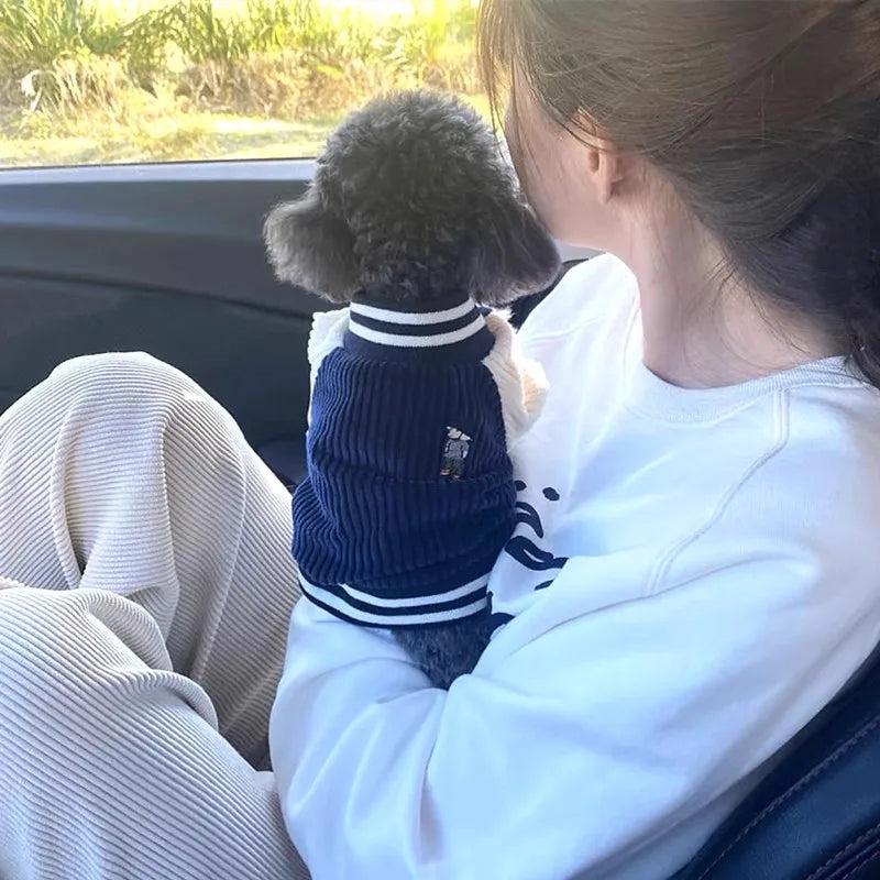 Winter Dog Coat Pet Dog Warm Clothes Kitten Puppy Costume Solid Dog Jacket Chihuahua French Bulldog Clothing for Dogs Pet Hoodie