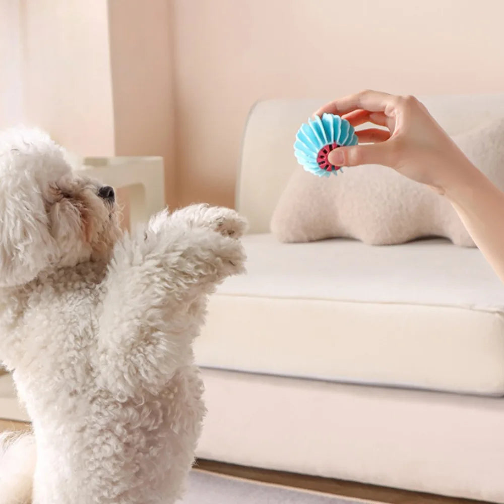 Dogs Interactive Toys TPR Dog Chew Toy Pet Teeth Cleaning Bite Resistance Dog Ball Puppy Sound Toy Pet Products Accessories
