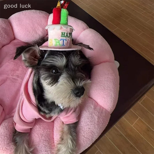 the CAKE HAT - Cute Adorable Dog/Cat Birthday Cake Hat, Pet Cap, Headwear Adjustable Dog/Cats Hats, Pet Birthday Dress Up Hat, Pet Supplies