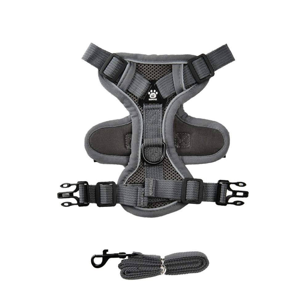 the AIRPAW REFLECTIVE HARNESS - Pet Harness and Leash Set, Reflective Walking Puppy Vest Chest Strap for Small Dogs/Cats, Breathable Outdoor Harnesses With D-Ring