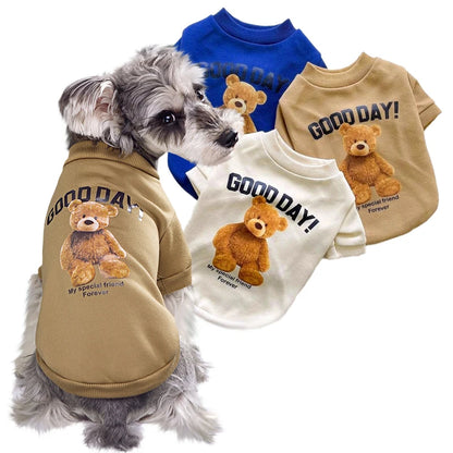 the GOOD DAY TEDDY - Pet Clothes, Cartoon Bear Pet Shirt, Puppy Clothes, Pet Jacket for Small/Medium Dog/Cat, Chihuahua Costume, Dogs Winter Cute Costume