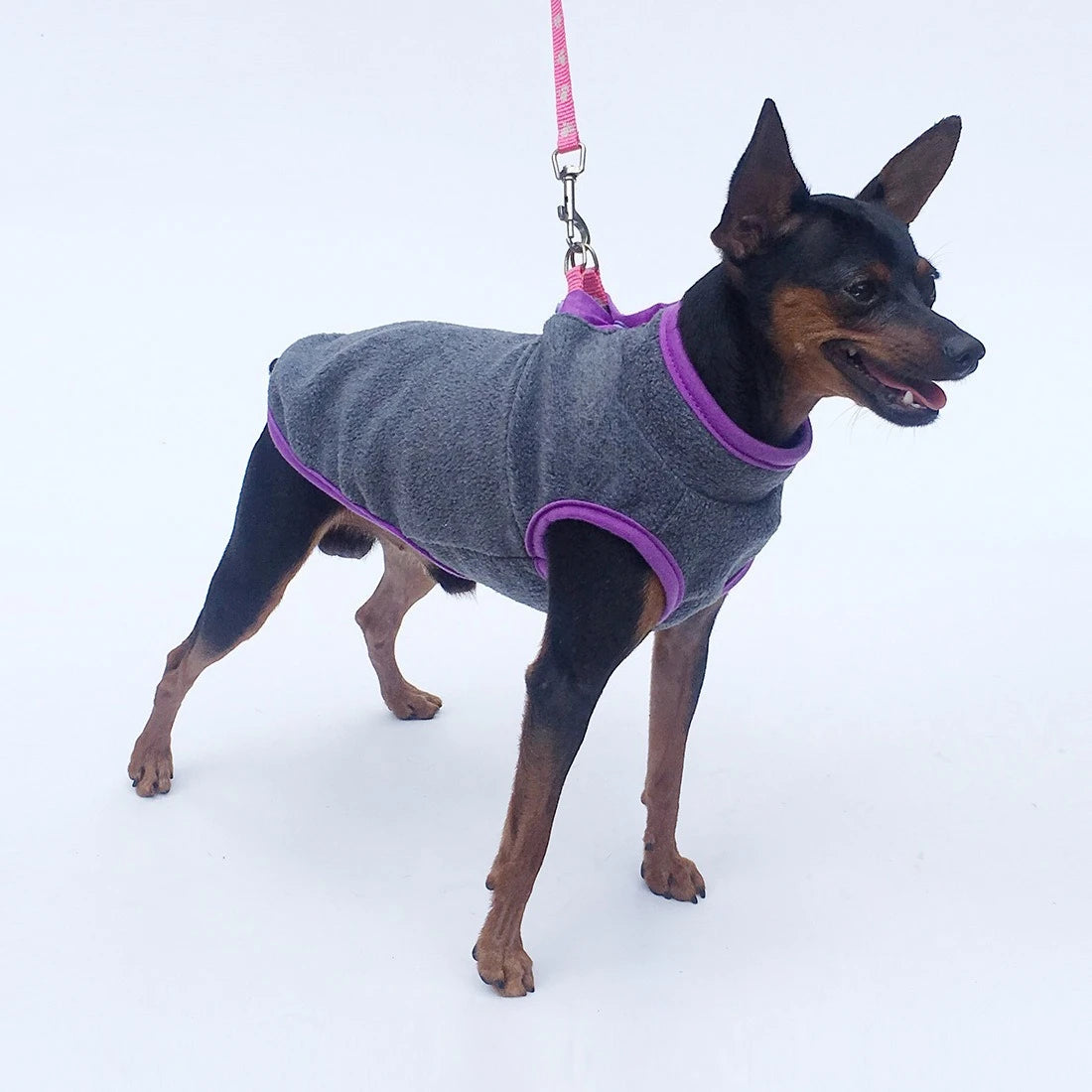 Autumn and winter plus velvet dog vest sleeveless fleece warm vest small and medium-sized dog pet clothes light dog clothes.