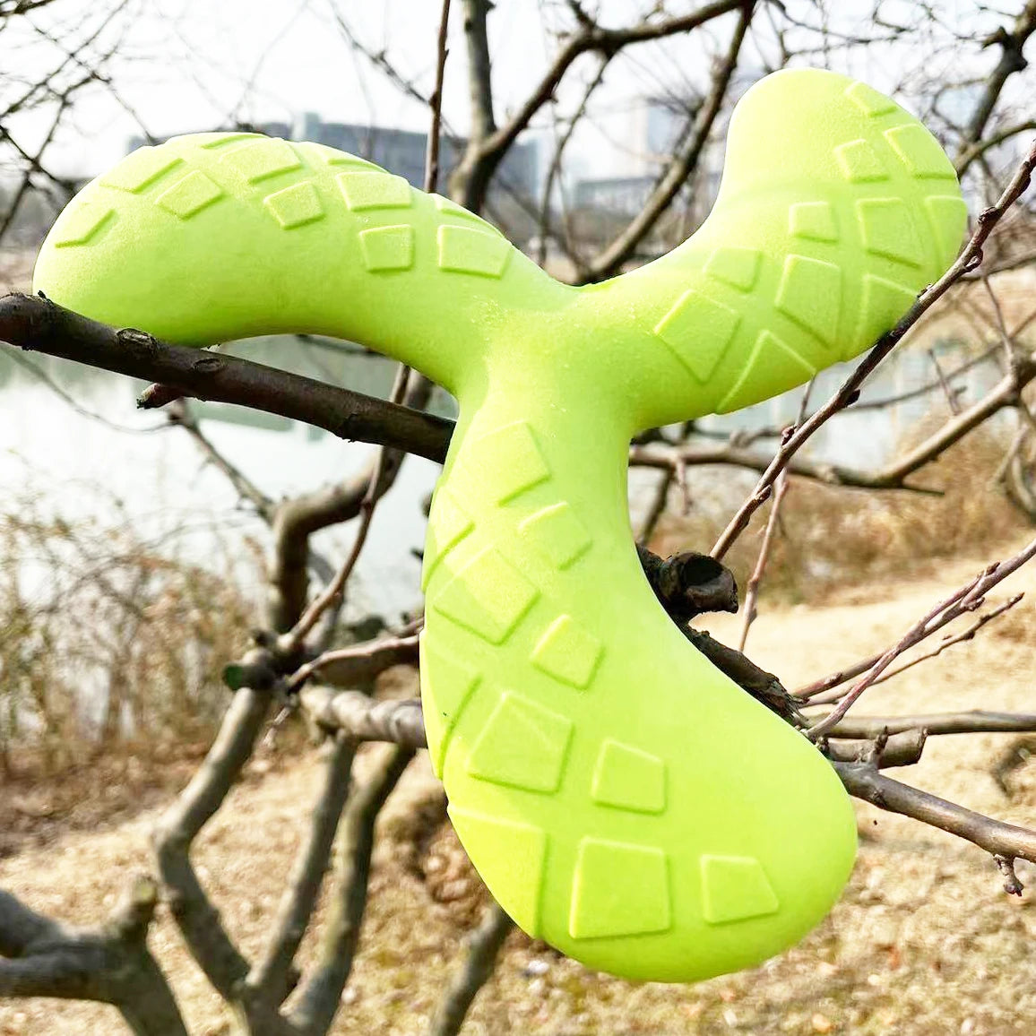 Fun Pet Toy Water Floating Triangle Boomerang For Dogs Puppy Squeaker Squeaky Molar Dog Toy Pet Training Dog Accessories