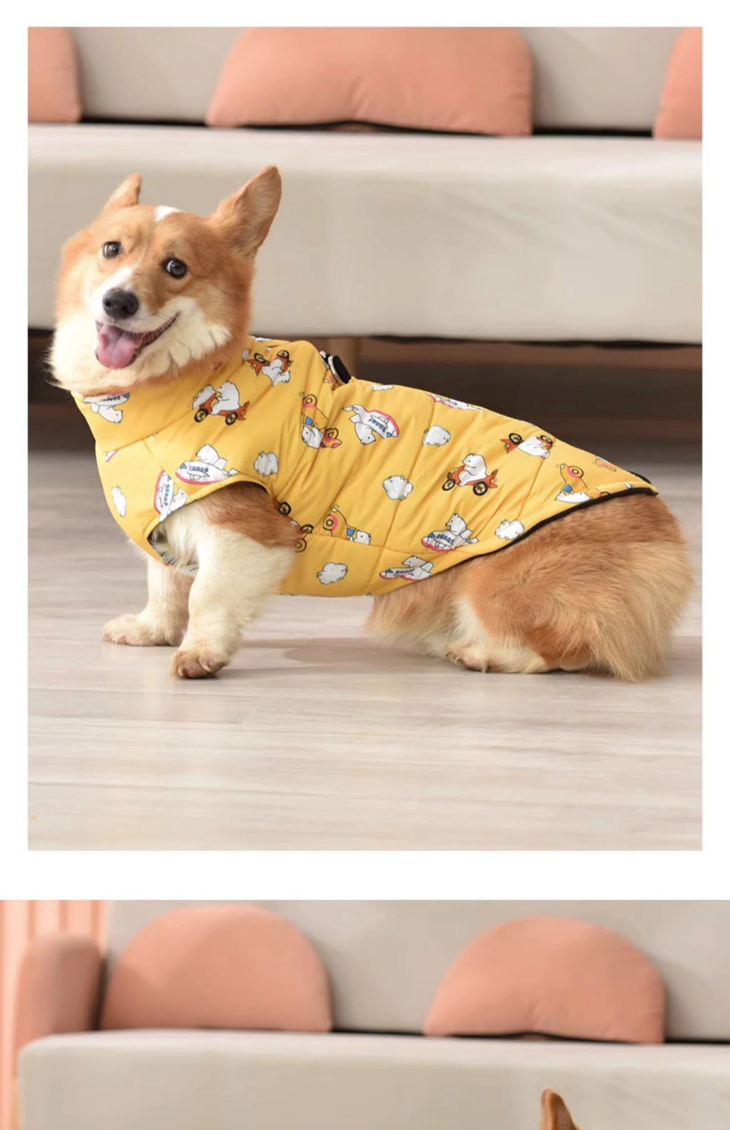 the FROSTCORE DOWN DOG JACKET - Warm Dog Down Jacket, Winter Thickened Dog Clothes, Waterproof Dog Jacket, Medium and Large Dog Clothing, Welsh Corgi Clothing