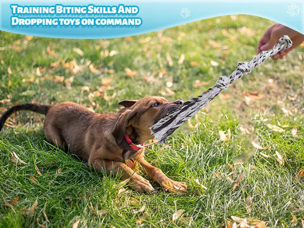 Flirt Pole for Dogs Interactive Dog Toys Durable Heavy Duty Dog Flirt Pole Suitable for Small and Medium Dogs Great Exercise