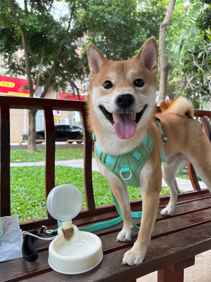 Bulb water bottle Pet Outing Water Cup Dog Portable Foldable Kettle Large Capacity Dog Bowl Out Drinking Water Feeder