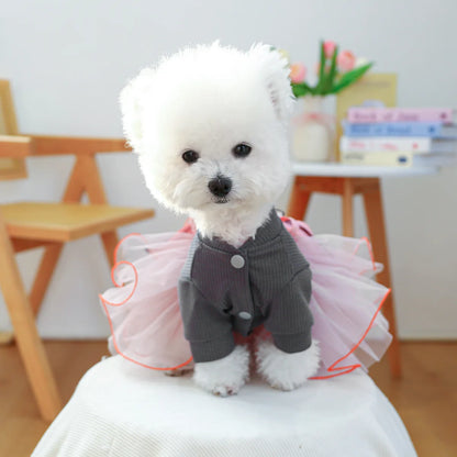 Fancy Bowtie Pet Dress For Dogs Spring Summer Puppy One Piece Apparel Girl Female Luxury  Formal Cat Wear Yorkshire Terrier Item