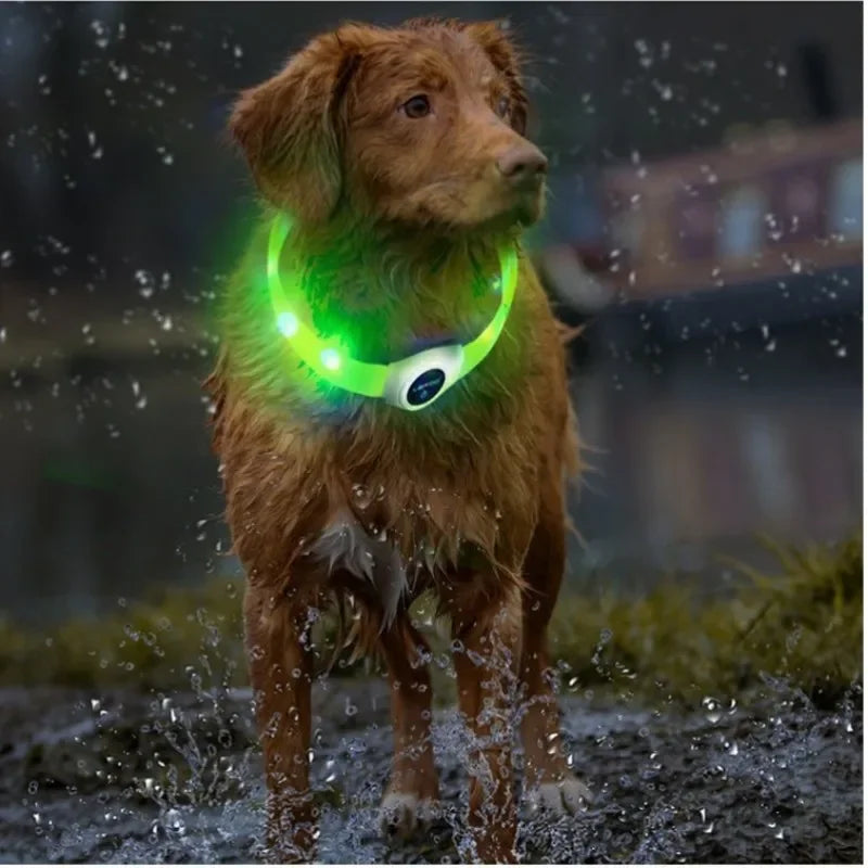 the NIGHTBEAM GLOW COLLAR - New Led Luminous Dog Collar, PVC Waterproof for Large/Medium/Small Dogs, Collar USB Light Night Safety, Pet Glowing Accessories