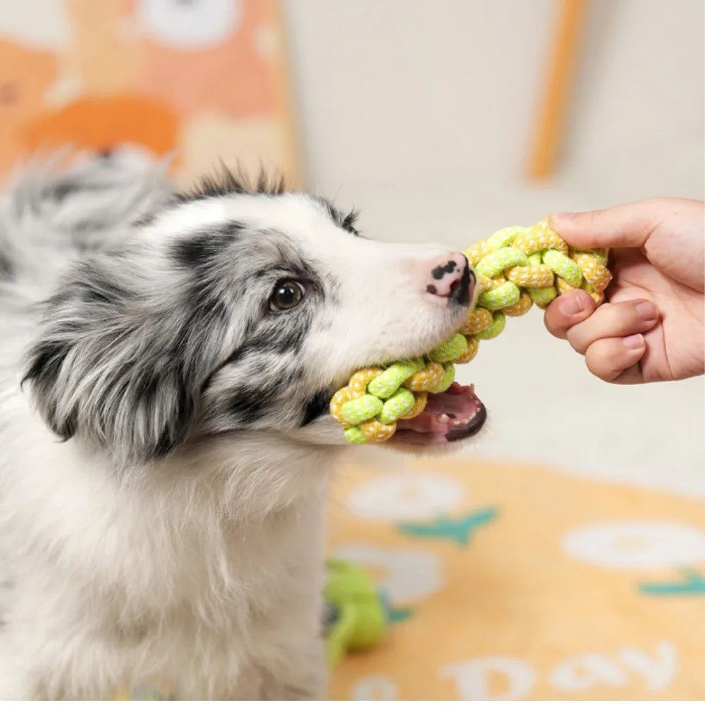 Pet Dog Toys Dog Chew Tug of War Durable Interactive Cotton Rope Toy Suitable for Medium Large Dogs Cleaning Teeth Pet Supplies