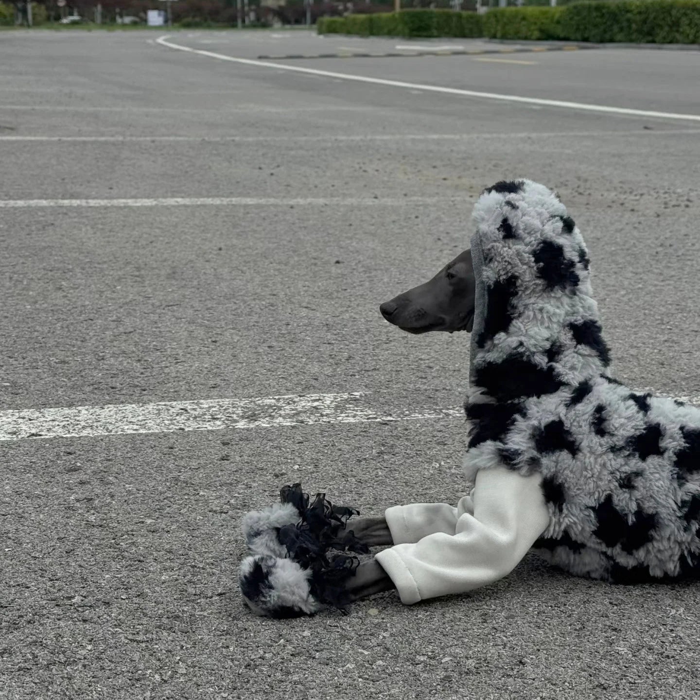 Hooded Leopard Sweater for Dogs in Winter Soft 4-legged False Two Fleece Coat for Greyhounds Warm High-neck Jumpsuit for Whippet