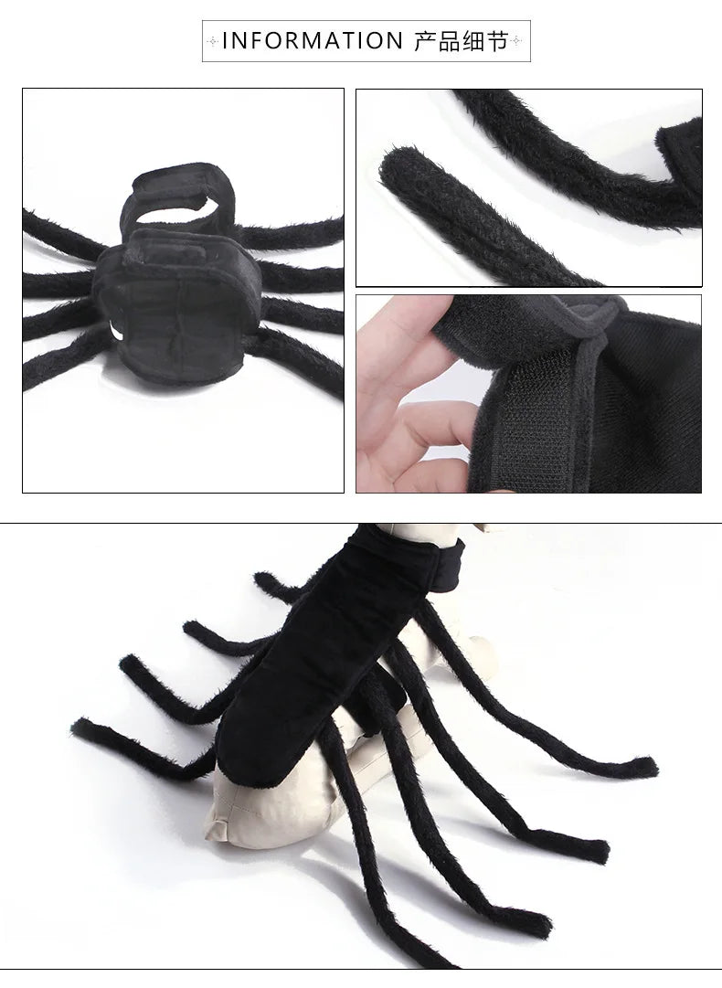 Halloween Funny Spider Costume Creative Cat Dog Clothes for Small Medium-sized Dog Clothings Halloween Cosplay Pet Accessories