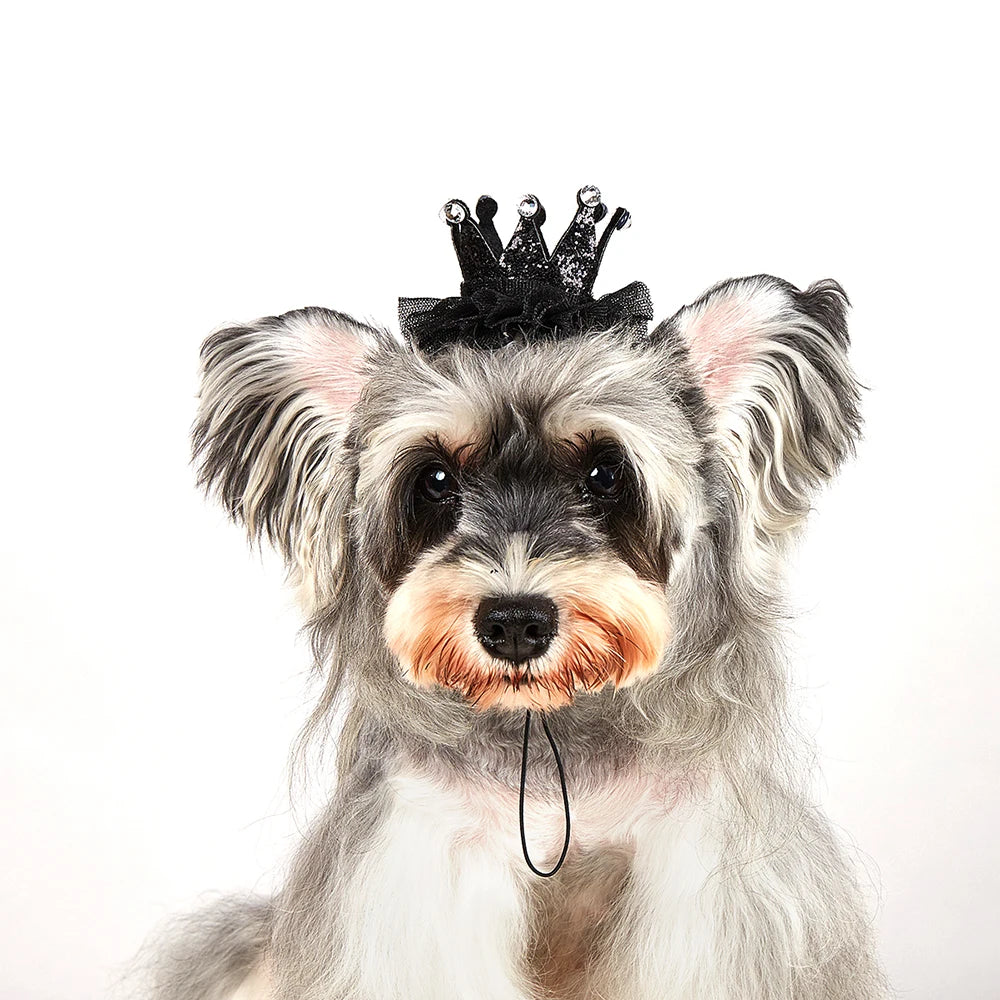 Luxury Pet Birthday Party Hat for Dogs & Cats - Instagrammable Photo Prop High-Quality Birthday Hat for Pets