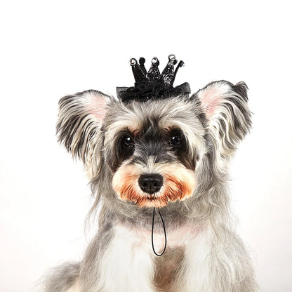 Luxury Pet Birthday Party Hat for Dogs & Cats - Instagrammable Photo Prop High-Quality Birthday Hat for Pets