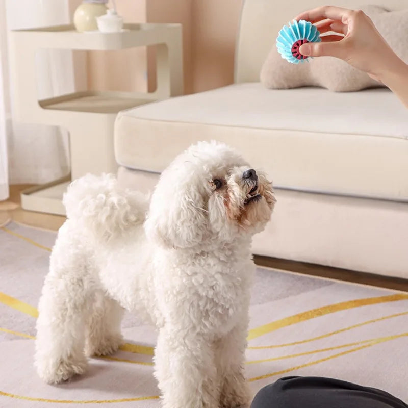 Dogs Interactive Toys TPR Dog Chew Toy Pet Teeth Cleaning Bite Resistance Dog Ball Puppy Sound Toy Pet Products Accessories