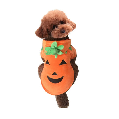 Pet Clothes Halloween Funny Pumpkin  Pirate Transformation Cat Small Dog Transformation Dress Photo Dog Clothes Pet Supplies