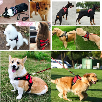 Small Medium Large Dog Harness Strong Harness Vest for Dogs Pet Shop Everything for Dogs Golden Retriever Chihuahua Accessories