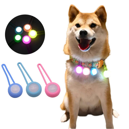 the LUMIPAWS SAFETY PENDANT - 1PC Pet Luminous Pendant, Dog LED Walking Dog Night Silicone Hanging Tag, Cat/Dog Anti-Lost Dog Tag