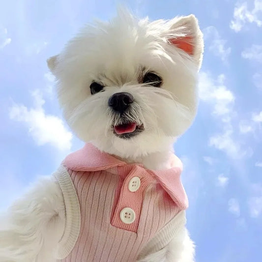 the PUPCHIC POLO VEST - Puppy Summer Clothes for Small Dog, Pet Dog Polo Shirt, Cat/Dog Cooling Vest, Chihuahua/Yorkshire/Bichon Clothing, Girls Dog T-Shirt