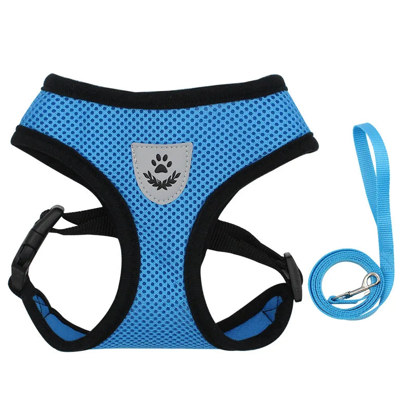 the MESHWALK COMFORT SET - Cat/Small Dog Breathable Mesh Harness and Leash, Kitten/Cats Harnesses, Little Dog/Puppy Harness for French Bulldog, Chihuahua, Pug