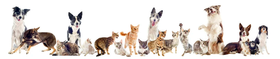 Sucado Valentine's Day Dog Bandana Triangle Bib Scarf with Heart and Love Patterns Pet Neckerchief Accessories for Puppy Cat