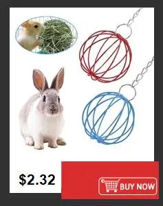 Cartoon Print Dog Diaper Physiological Pant Sanitary Puppy Shorts Underwear Small Medium Dog Cat Pants Female Dog Panties