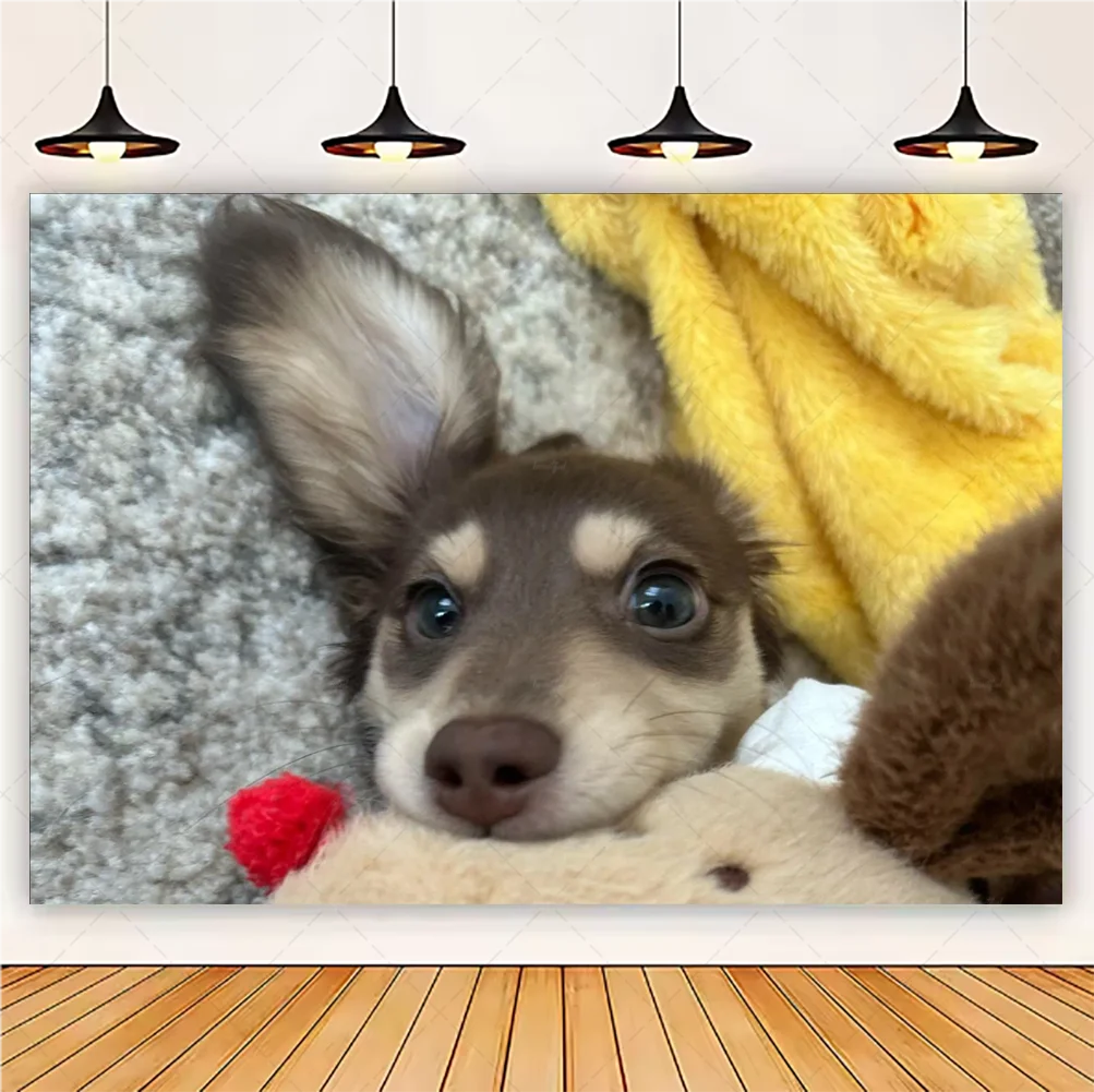 Cute Dachshund Theme Birthday Party Decorations Lovely Puppy Backdrop Cake Insert Banner Balloon Baby Shower Supplies Child Gift