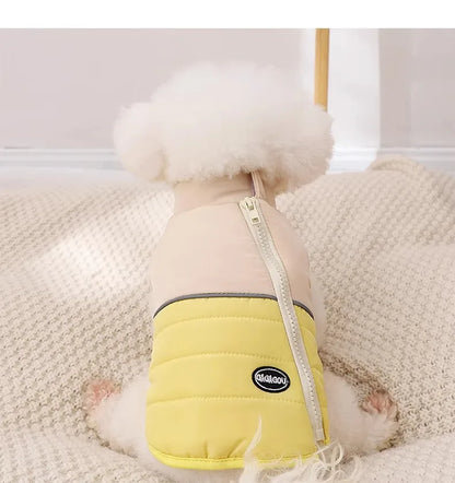 The Dog's Clothes Are A Small Cotton Vest with A Zipper, Similar To A Yorkshire Terrier or Dachshund Pet Clothing.