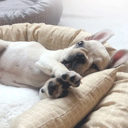 All Season Dog Cat Bed Washable Pet House Soft Warm Cushion for Small Medium Large Pets