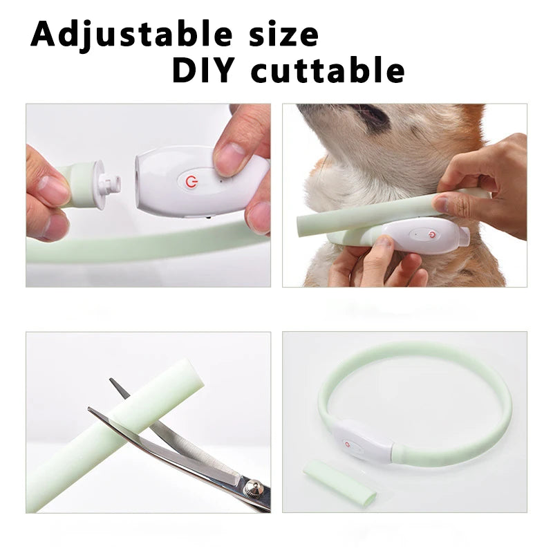 the GLOWGUARD COLLAR - USB Rechargeable Glowing Collar for Large and Small Dogs, LED Glowing Dog Collar - 9 Flashing Modes - Adjustable Soft Silicone Collar